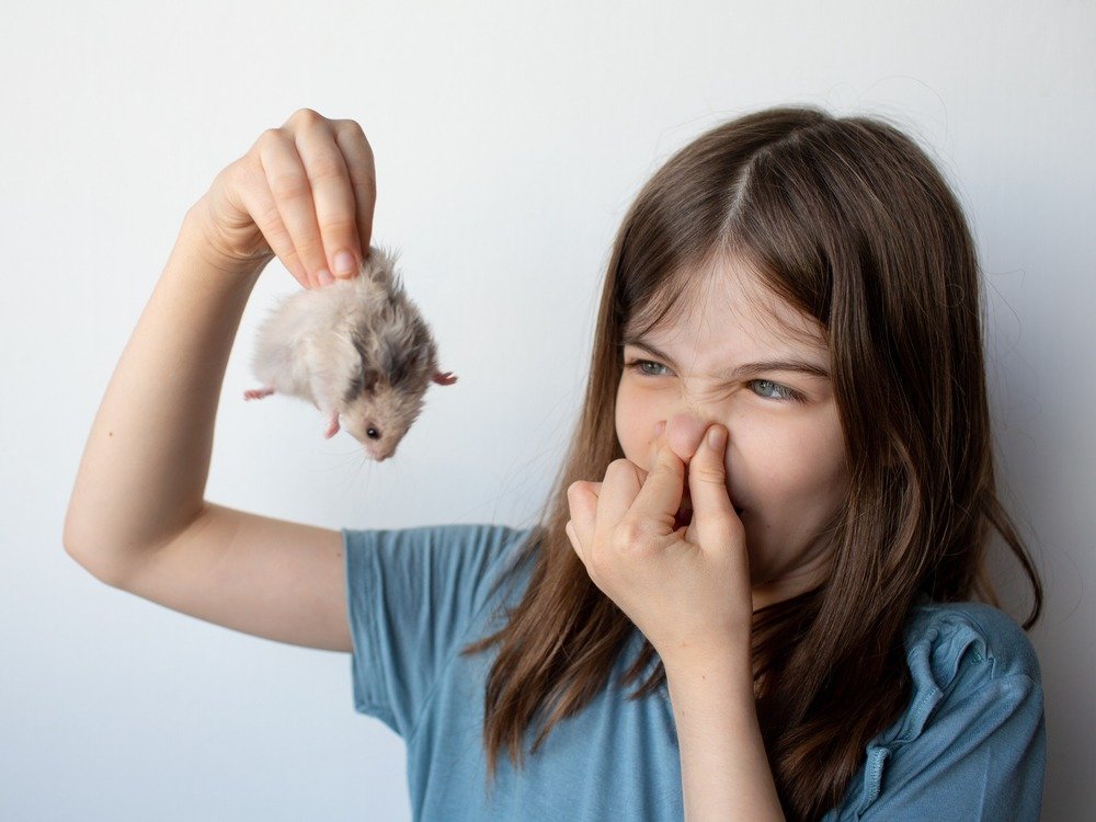 Do Hamsters Smell? The Truth About Pet Odors